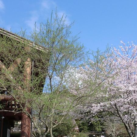 Lassy Condominium Kumamoto Dış mekan fotoğraf